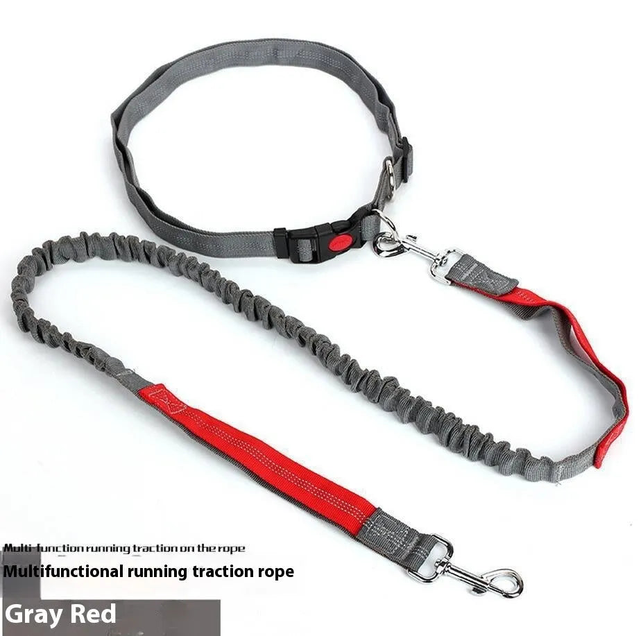 Grey and green elastic dog leash with reflective strip, showing clip and 2.5cm nylon width.