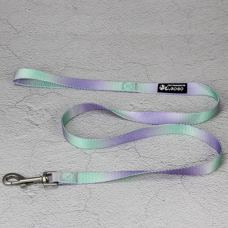 Gradient colour nylon dog leash in pink and yellow, shown as a collar-style lead.