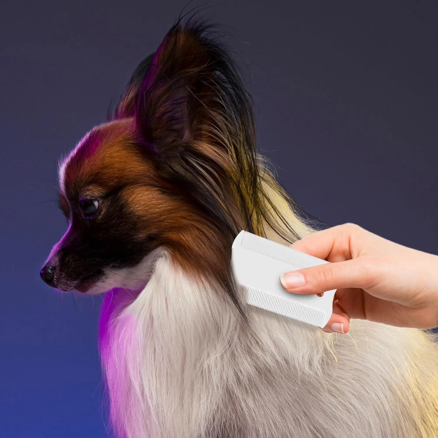 Double-sided plastic flea comb for pets with dense teeth for flea removal and face grooming