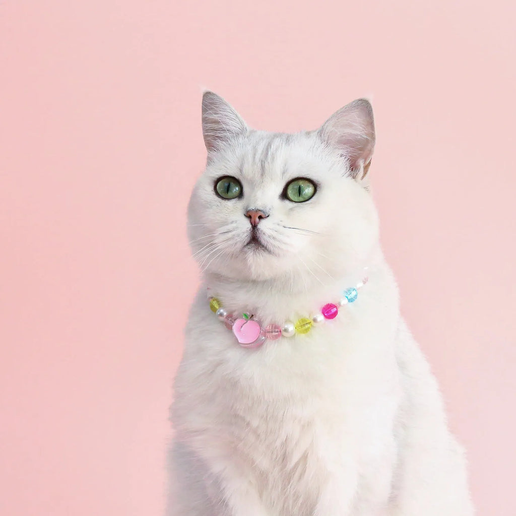 Colourful plastic pearl bead pet necklace for dogs and cats with adjustable sizing options